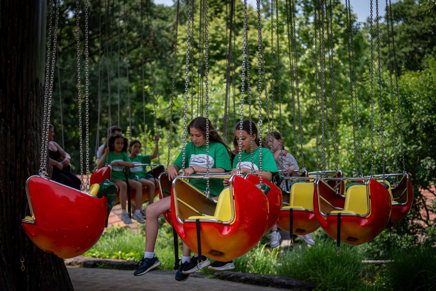Children on a carousel at the amusement park
